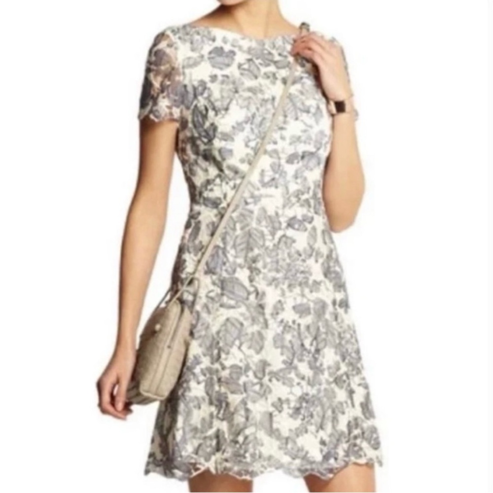 Tory Burch Summer Guipure Lace Mini Dress in Gray Cream, Size 4
